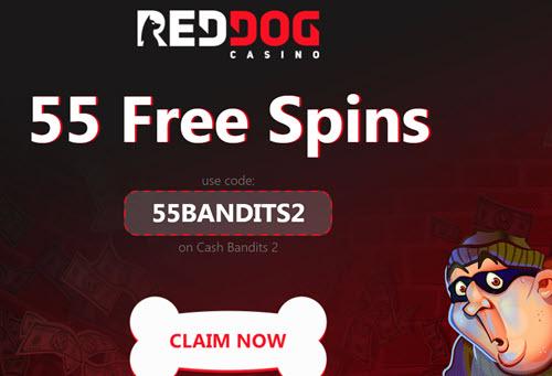 Reddog Casino